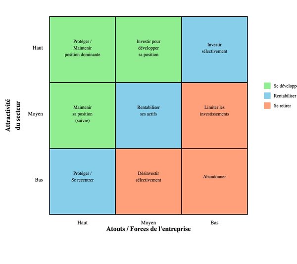 Comprendre la matrice Mckinsey : un guide stratégique essentiel